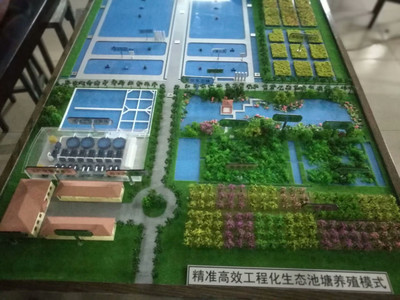 西藏農科院水產養殖數字化 科技賦能雪域高原，設計譜寫新篇章